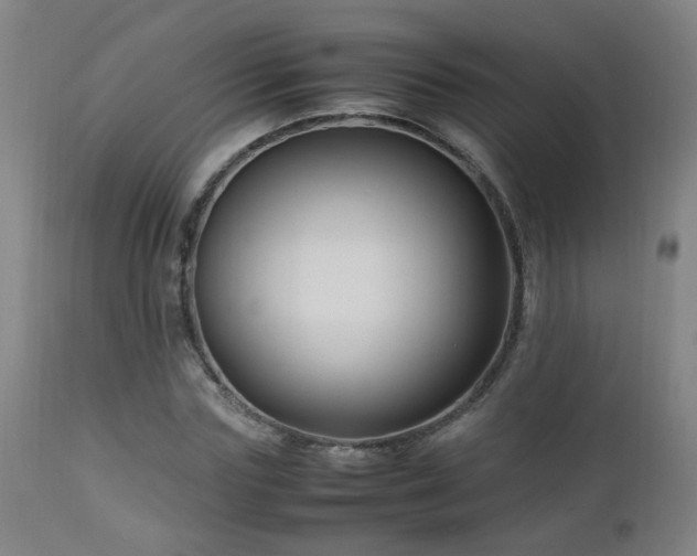 X0000112870827200908211424