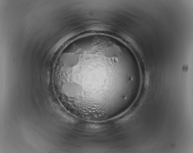 X0000112870829200908211424