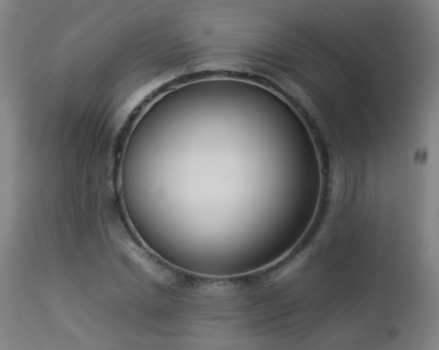 X0000112870830200908211424