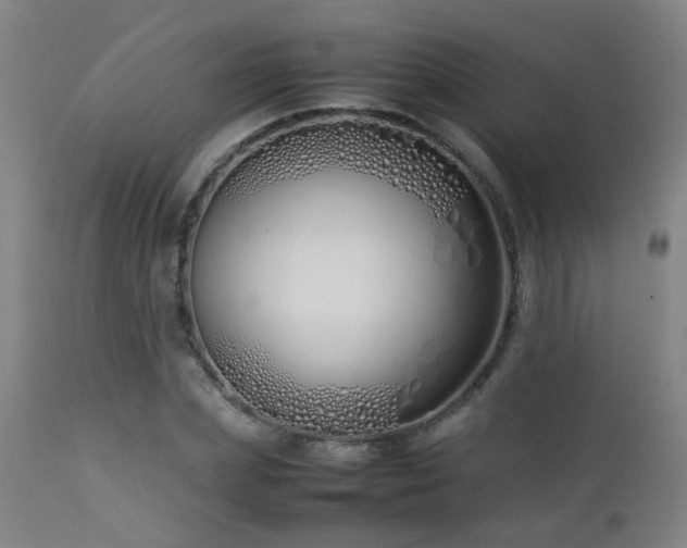 X0000112870831200908211424