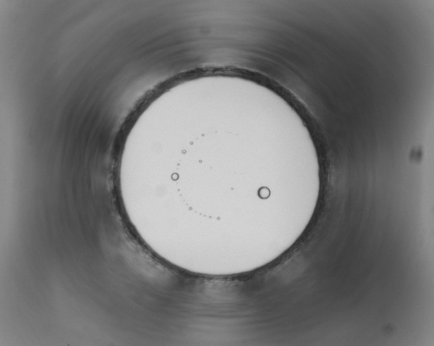 X0000112870832200908211424
