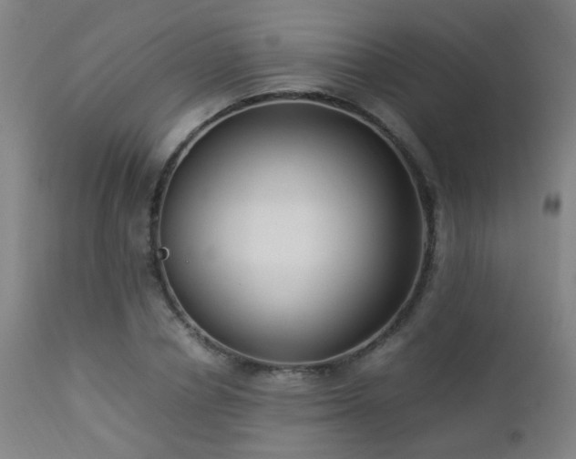 X0000112870834200908211424