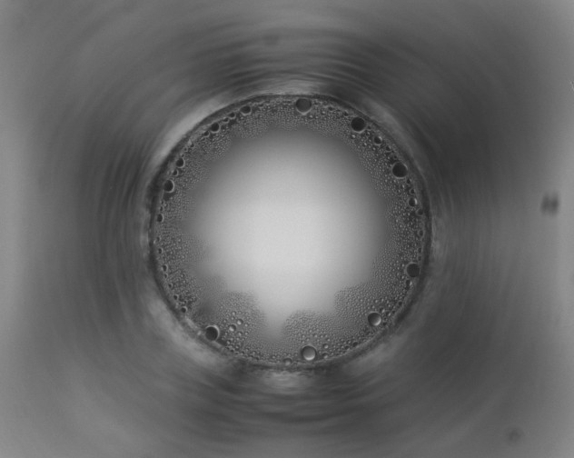 X0000112870835200908211424