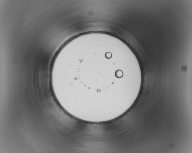 X0000112870836200908211424