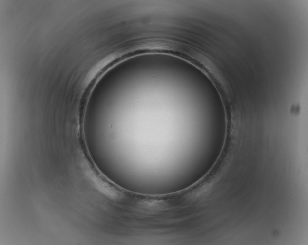 X0000112870837200908211424