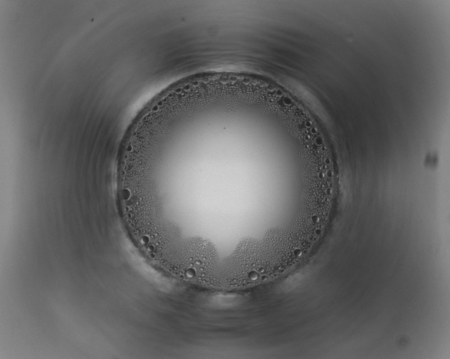 X0000112870839200908211424