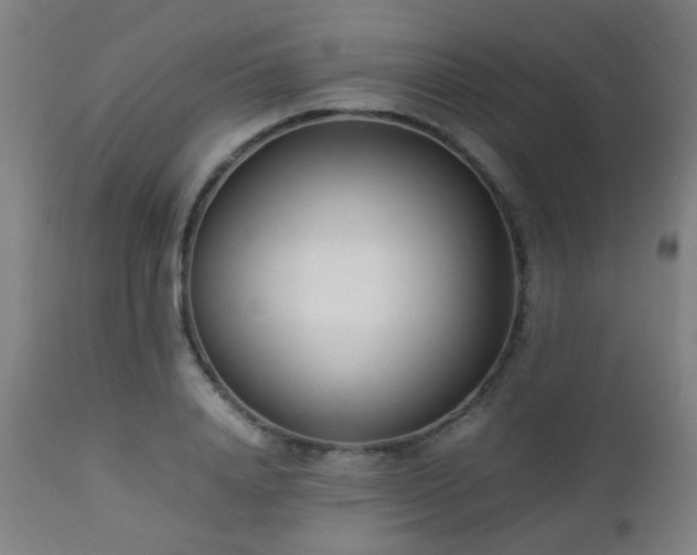 X0000112870840200908211424