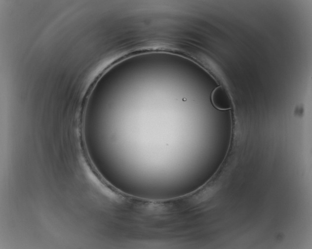 X0000112870847200908211424