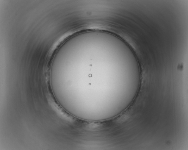 X0000112870848200908211424