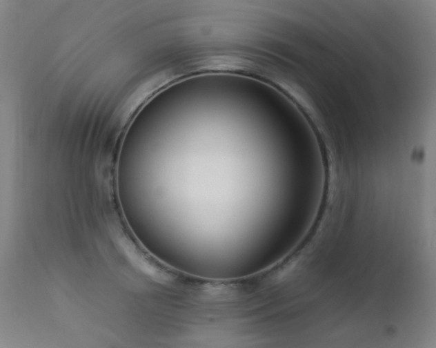 X0000112870850200908211424