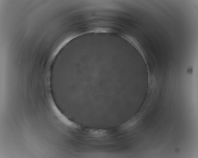 X0000112870851200908211424