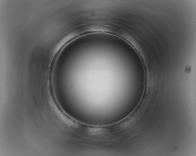 X0000112870853200908211424