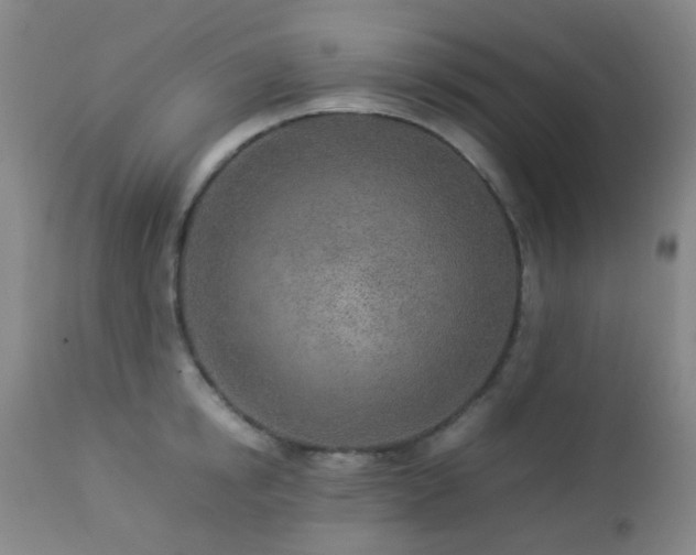 X0000112870854200908211424