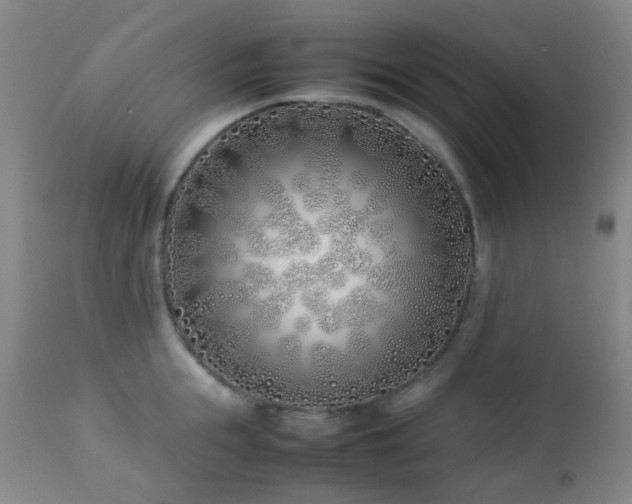X0000112870855200908211424