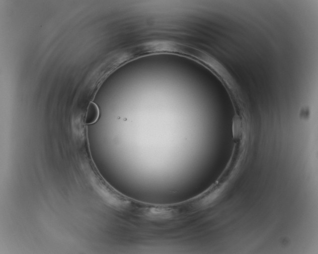 X0000112870857200908211424