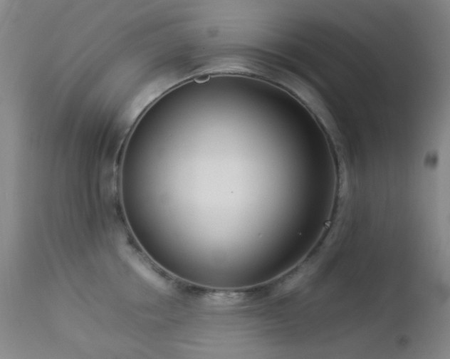 X0000112870858200908211424