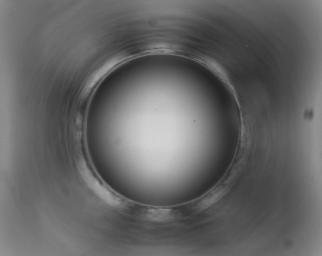 X0000112870859200908211424