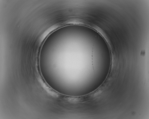 X0000112870861200908211424