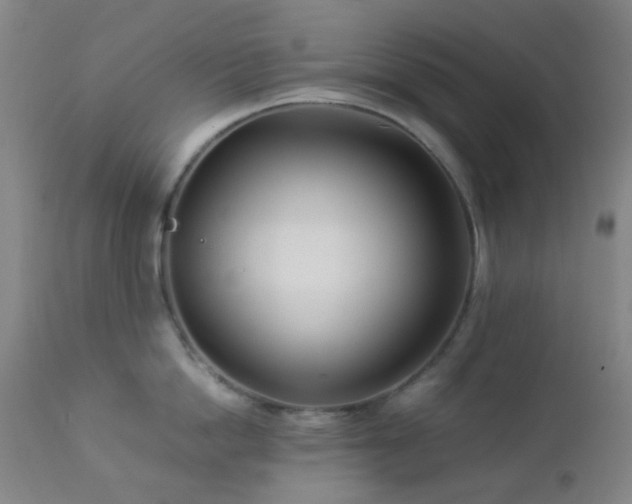 X0000112870862200908211424