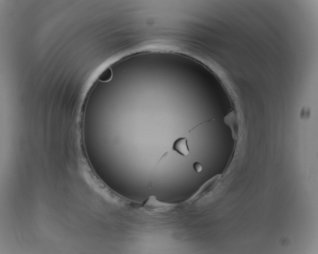 X0000112870864200908211424