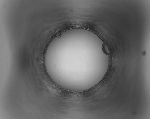 X0000112870865200908211424