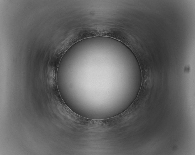 X0000112870866200908211424
