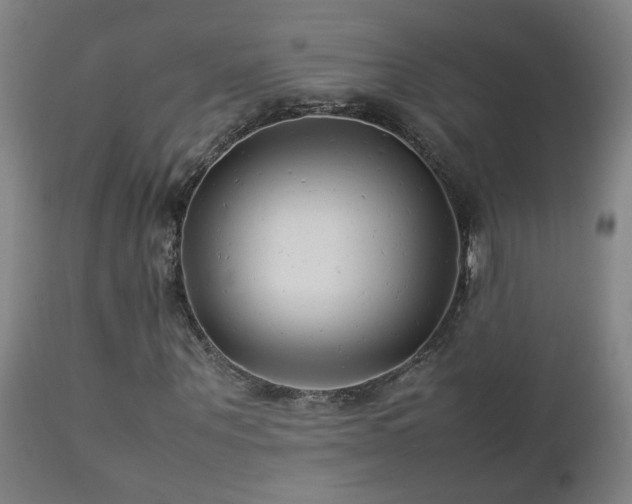 X0000112870867200908211424