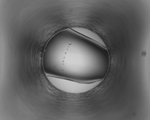 X0000112870868200908211424