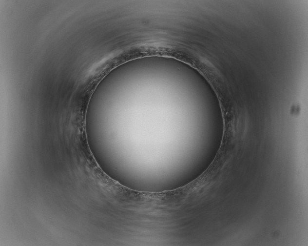 X0000112870870200908211424