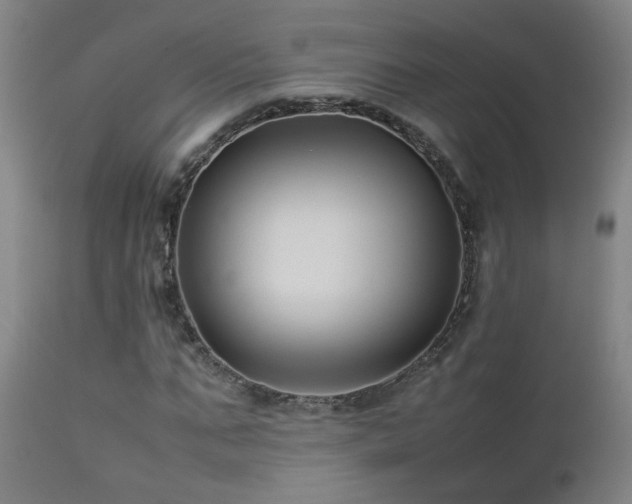 X0000112870871200908211424