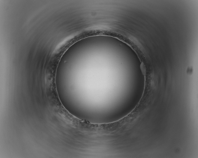 X0000112870872200908211424