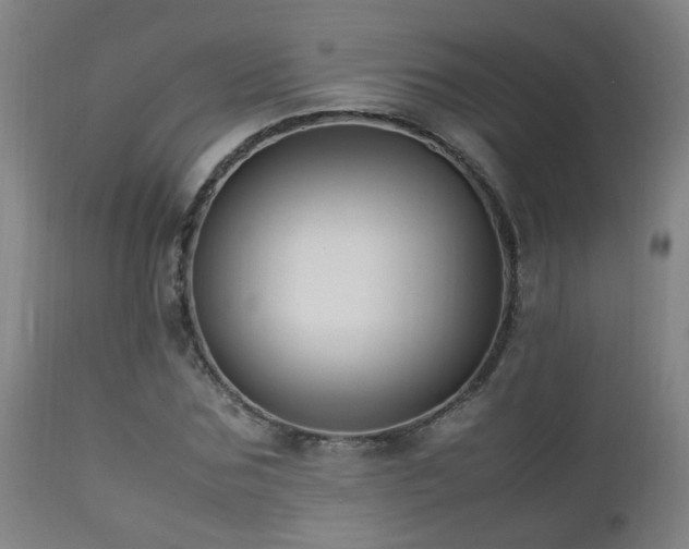 X0000112870875200908211424