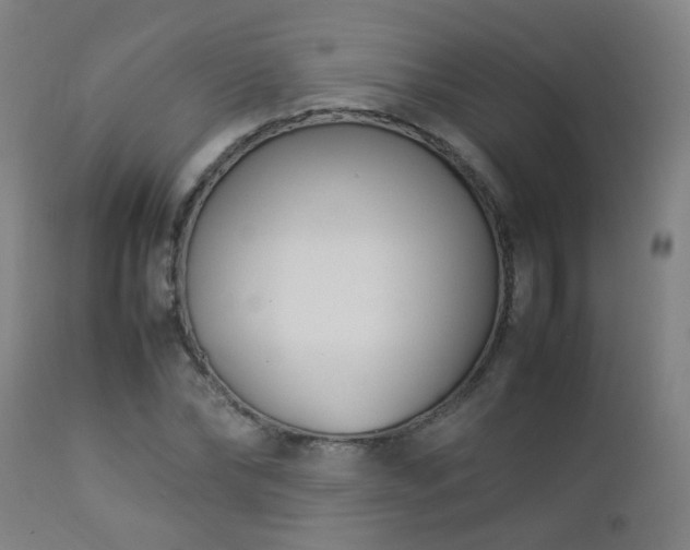 X0000112870878200908211423