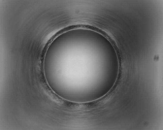 X0000112870879200908211423