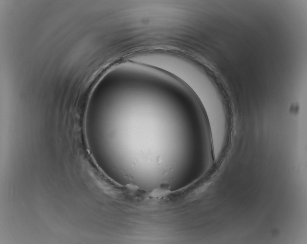 X0000112870881200908211423