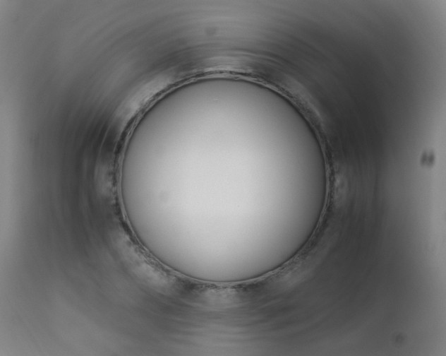 X0000112870882200908211423