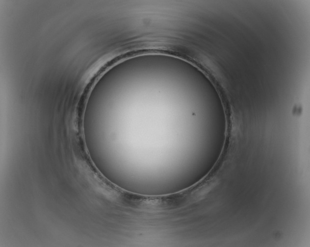 X0000112870883200908211423