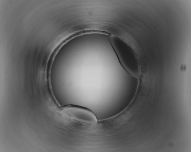 X0000112870884200908211423
