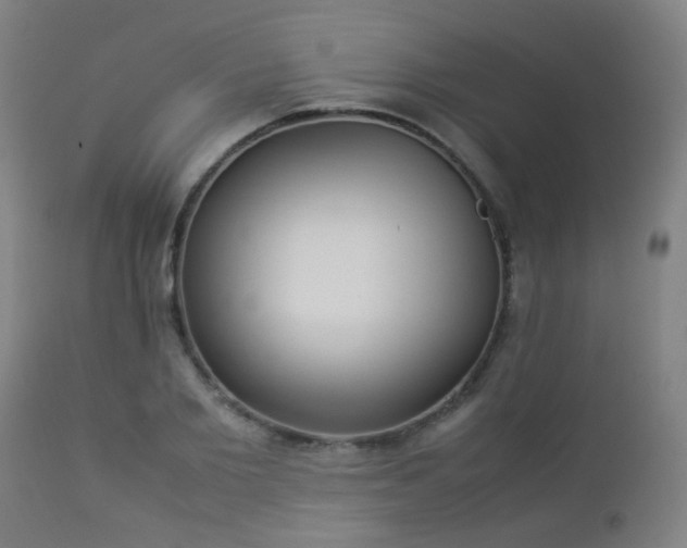 X0000112870885200908211423