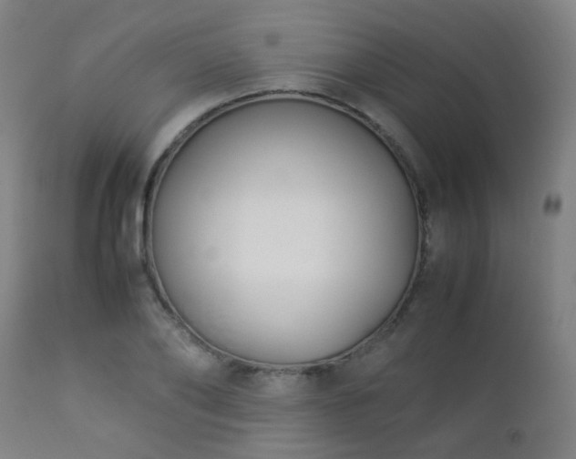 X0000112870886200908211423