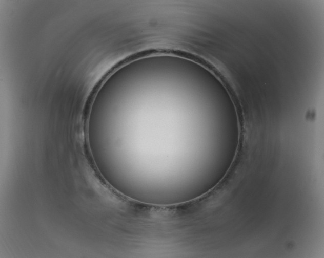 X0000112870887200908211423