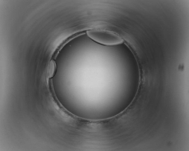 X0000112870888200908211423