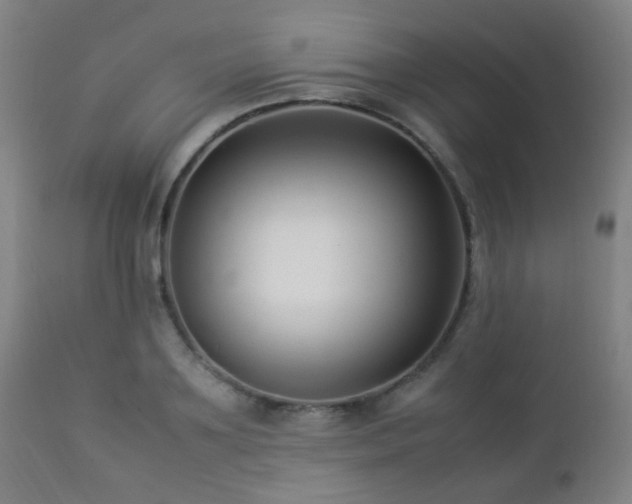 X0000112870891200908211423