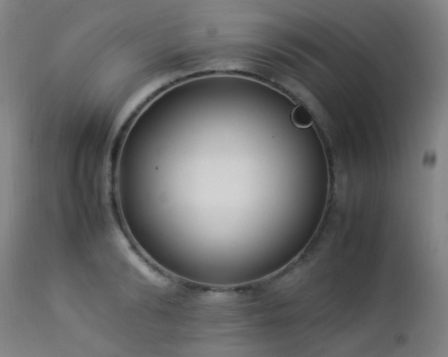 X0000112870894200908211423