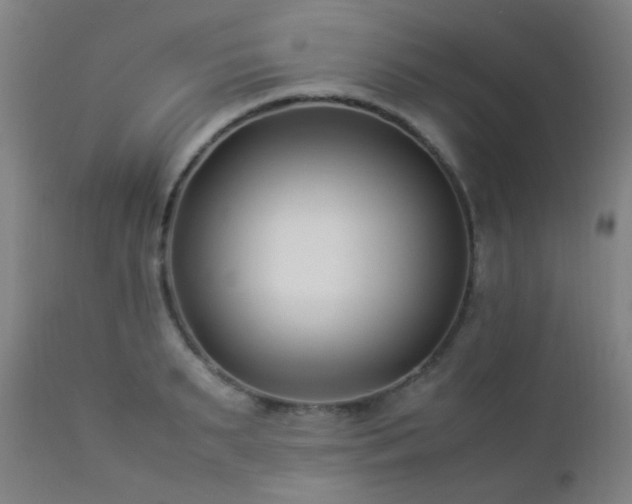 X0000112870895200908211423