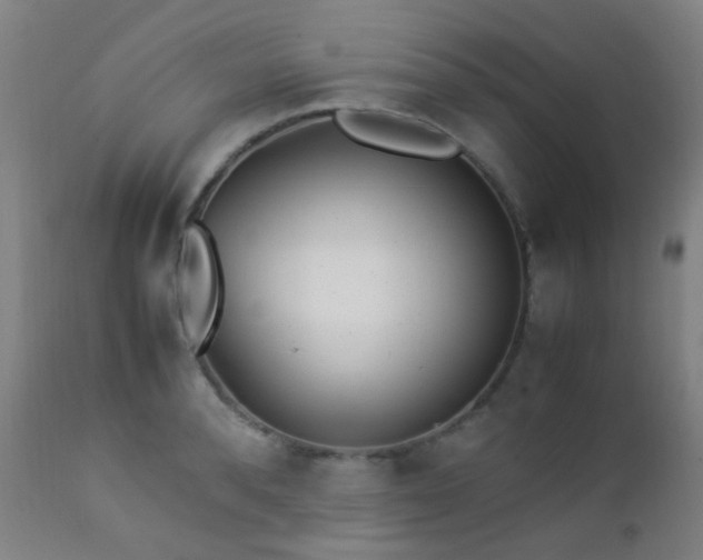 X0000112870896200908211423