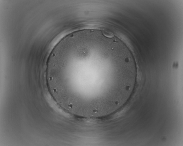 X0000112870899200908211423