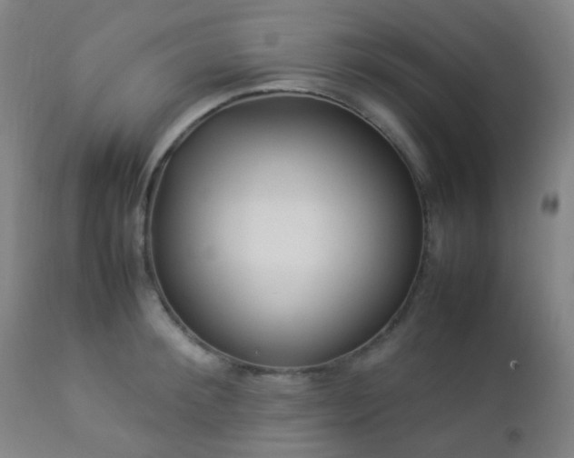 X0000112870900200908211423