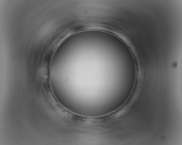 X0000112870905200908211423