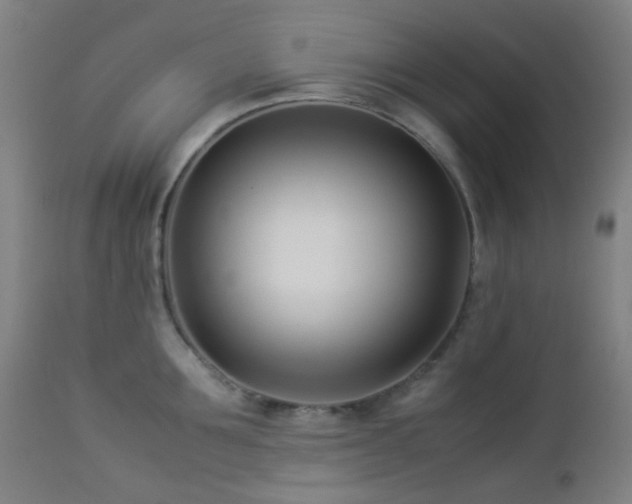 X0000112870907200908211423